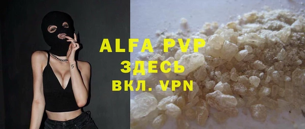 дживик Абаза