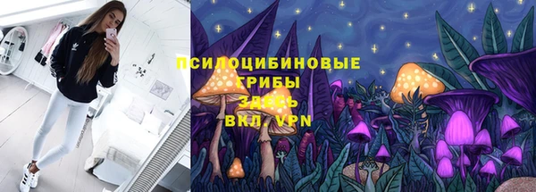 дживик Абаза